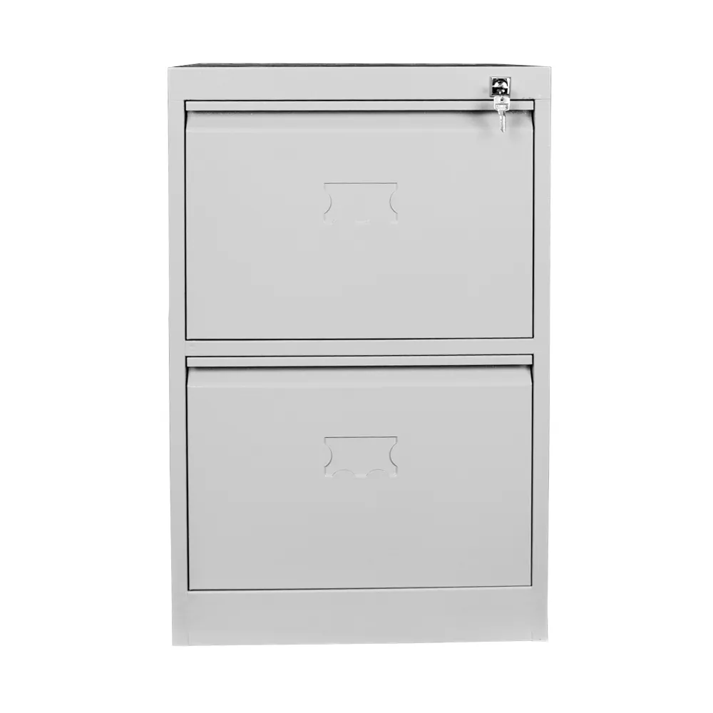 double folder cabinet gray color
